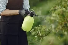 Photo of Garden pump sprayer (Woodingdean) #1