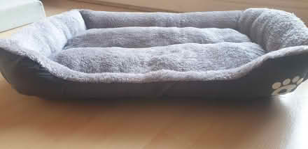 Photo of free Dog Beds (London E16) #4