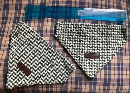 Photo of free Bandanas for dogs (Lamberhurst TN3) #1