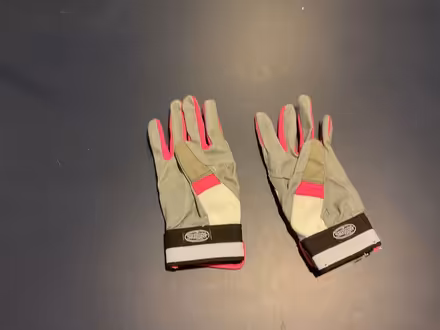 Photo of free Female batting gloves (Parsippany, NJ) #2