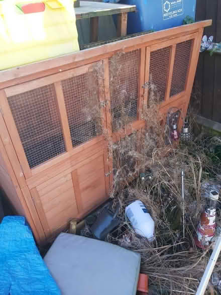 Photo of free Rabbit Hutch (Leegomery TF1) #2