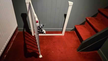 Photo of free Metal stair gate (Springfield ME14) #2
