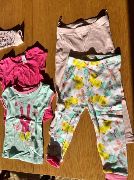 Photo of free 6-12 months (West acton - W3) #1