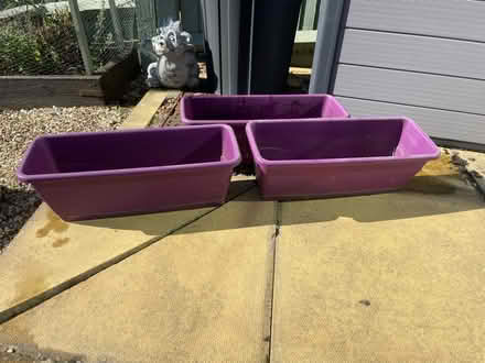 Photo of free 3 purple planters (Katesgrove, Reading, RG2) #1