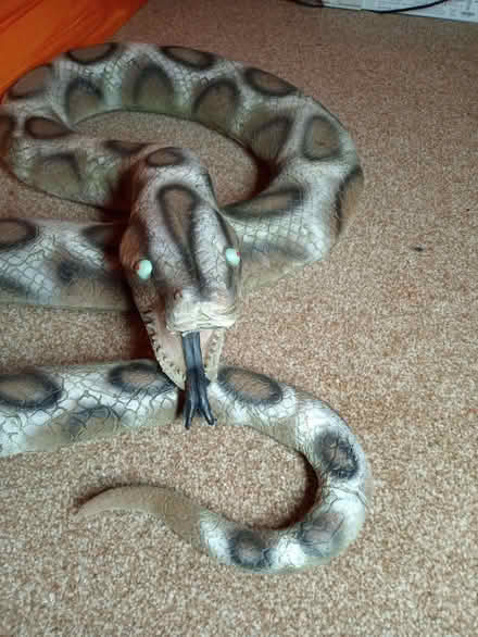Photo of free Rubber Snake (Charlton Kings GL52) #2