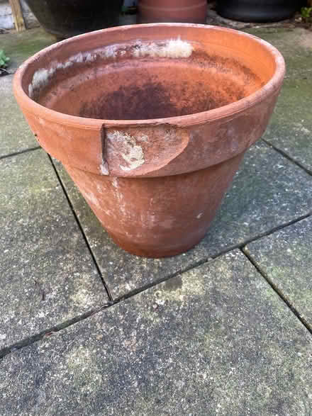 Photo of free Plant pots (Chiswick) #1