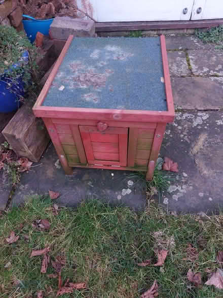 Photo of free chicken or duck coop and run (Ringmer BN8) #2