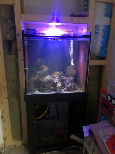 Photo of free cube marine fish tank complete 27” (Overton RG25) #1