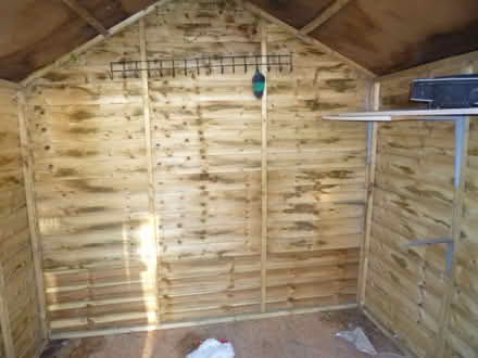 Photo of free Shed (South Ham RG22) #4