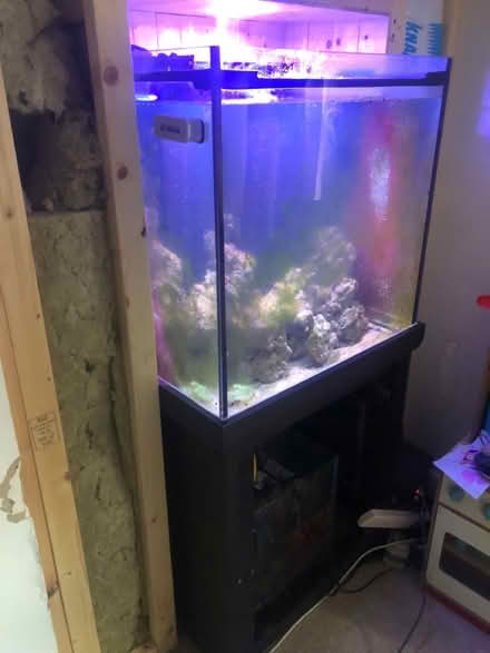 Photo of free cube marine fish tank complete 27” (Overton RG25) #4