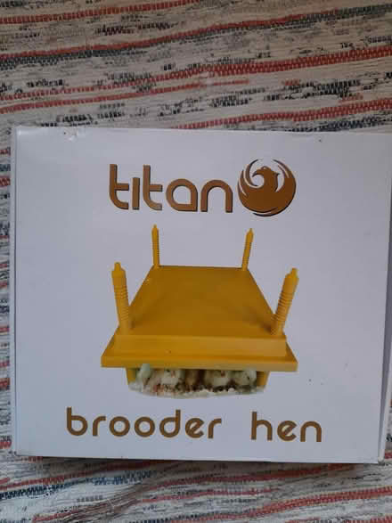 Photo of free Titan Brooder Hen (Portland DT5) #1