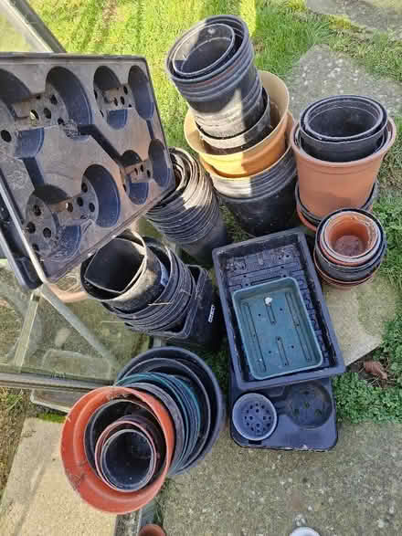 Photo of free Plant pots all sizes (Wiggenhall St Mary Magdalen PE34) #1