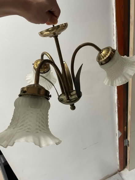 Photo of free Ceiling Light (BD2) #1