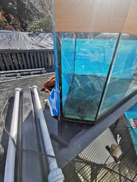Photo of free Juwel corner aquarium (EN7 Goffs oak) #2