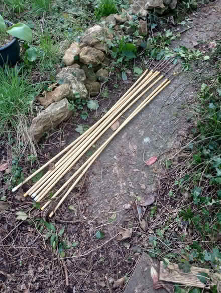 Photo of free Plastic garden 'canes' (Radstock) (Wells Road) #1