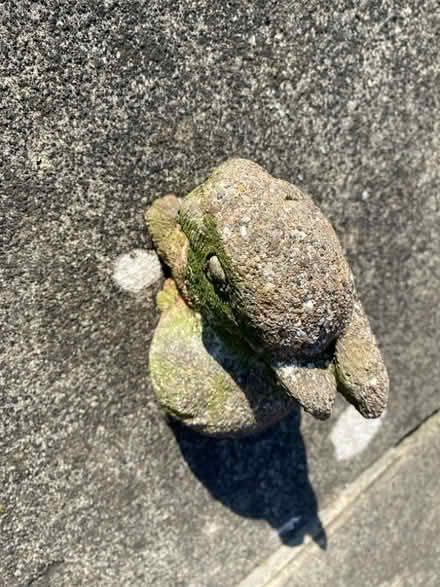 Photo of free Garden ornaments (East Herrington SR3) #2