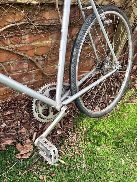 Photo of free Adults Peugeot bike (Lympstone EX8) #3