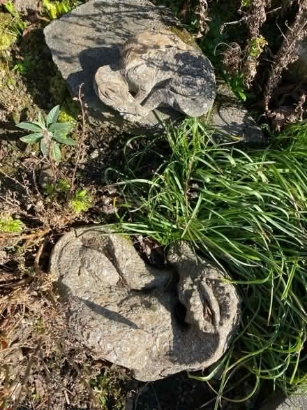Photo of free Garden ornaments (East Herrington SR3) #1