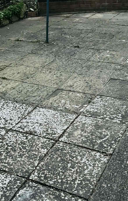 Photo of free Paving slabs ideal base (Gosport PO12) #1