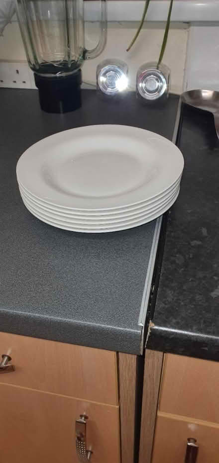 Photo of free Side plates (TN35 Ore) #1