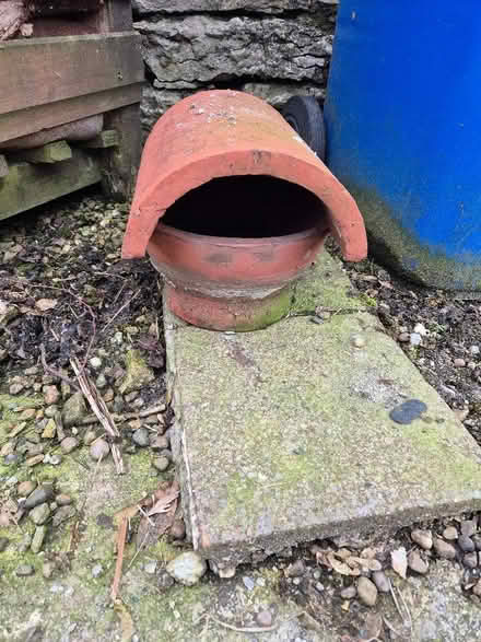 Photo of free Chimney cowl (Horton in Ribblesdale BD24) #2
