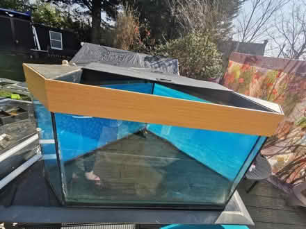 Photo of free Juwel corner aquarium (EN7 Goffs oak) #1