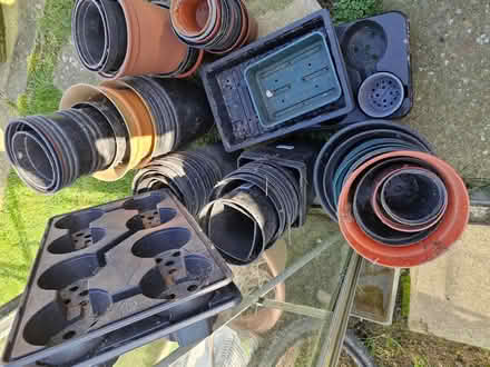 Photo of free Plant pots all sizes (Wiggenhall St Mary Magdalen PE34) #3