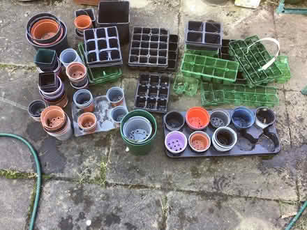 Photo of free Plant pots/seed trays (Pelton. chester-le street) #1