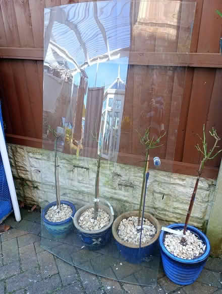 Photo of free curved shower screens x2 (Sale M33) #1