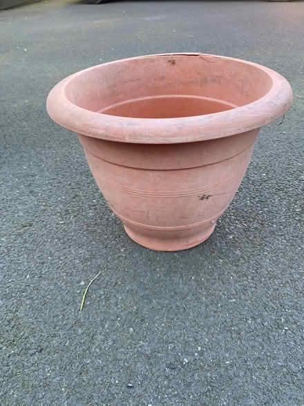 Photo of free Plant trays and pots (Heswall CH60) #3