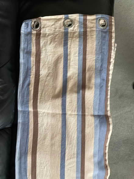 Photo of free Long Curtains (Swanley BR8) #1