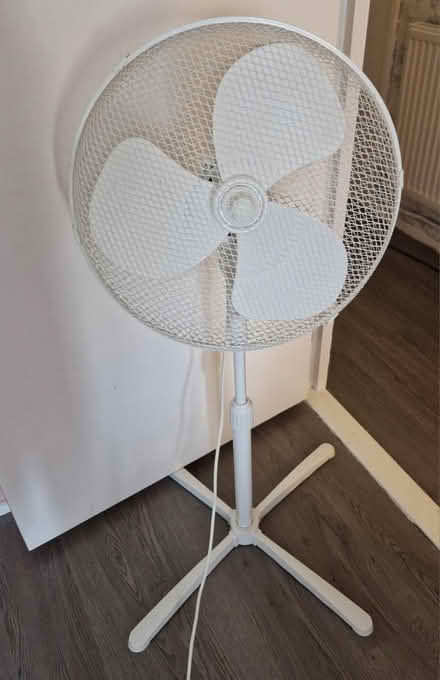 Photo of free 16" pedestal fan (Tw14) #1