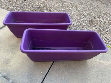 Photo of free 3 purple planters (Katesgrove, Reading, RG2) #2