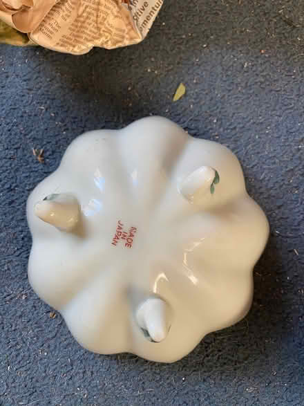 Photo of free China (St Albans drakes drive) #3