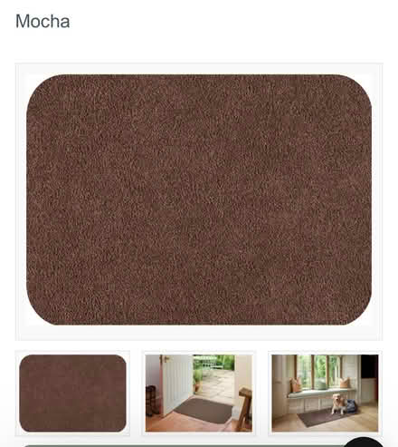 Photo of free Mocha Turtle door mat (Glastonbury, BA6) #1