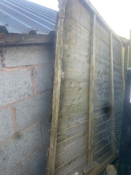 Photo of free Fencing panel (Brimfield, Ludlow) #1