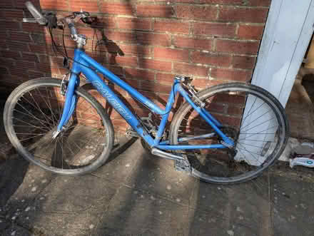 Photo of free Ladies bike (Hassocks BN6) #1