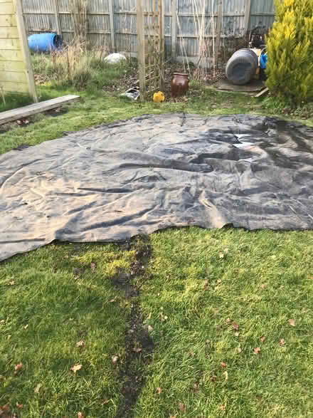 Photo of free Black plastic (Birch CO2) #1