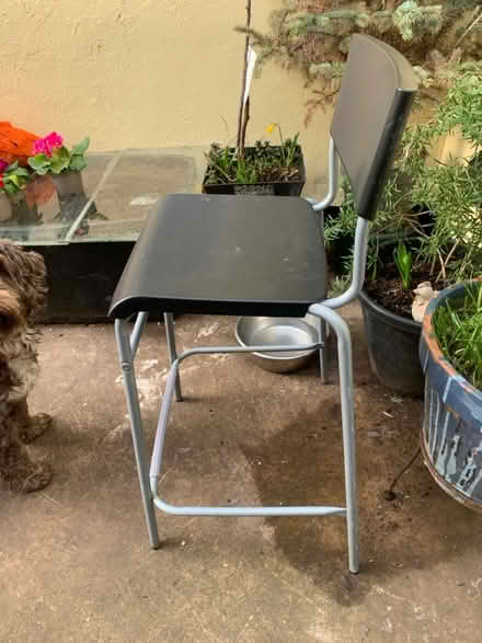 Photo of free Tall chair (Pleasley, Mansfield NG19) #2