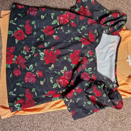 Photo of free 3 size16 ladies tops (Clive Vale TN35) #4