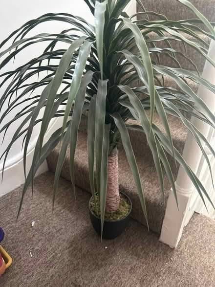 Photo of free Realistic fake plant with pot (SE1 Kent Road) #1