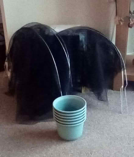 Photo of free Garden items (Pipers Ash CH2) #1