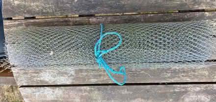 Photo of free Wire mesh - Chicken Wire (Pinner HA5) #2