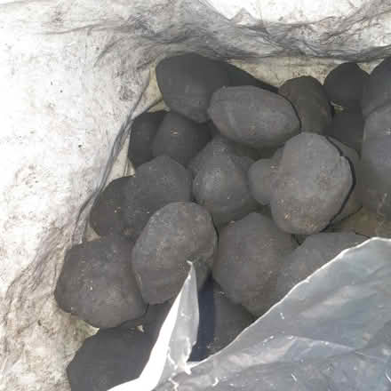 Photo of free Eco coal (Saint Leonards TN38) #3