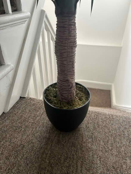 Photo of free Realistic fake plant with pot (SE1 Kent Road) #4