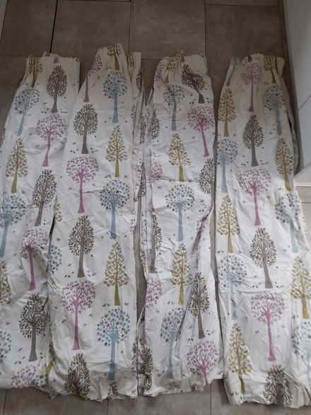 Photo of free Curtains (Bathford) #2