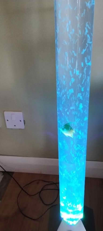 Photo of free Plastic fish lamp tube (Royston SG8) #3
