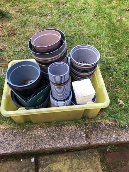 Photo of free Plant Pots (IP1) #1