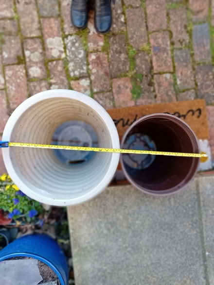 Photo of free Plant pots (Eastbourne BN21) #2