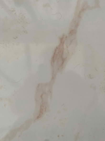 Photo of free Floor tiles (Croxteth L12) #4